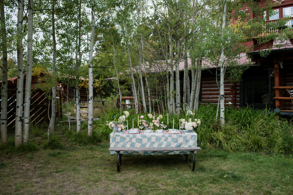 The Roam Photography Retreat micro wedding in Grand Lake, Colorado